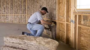 Best Insulation Air Sealing  in Ida Grove, IA